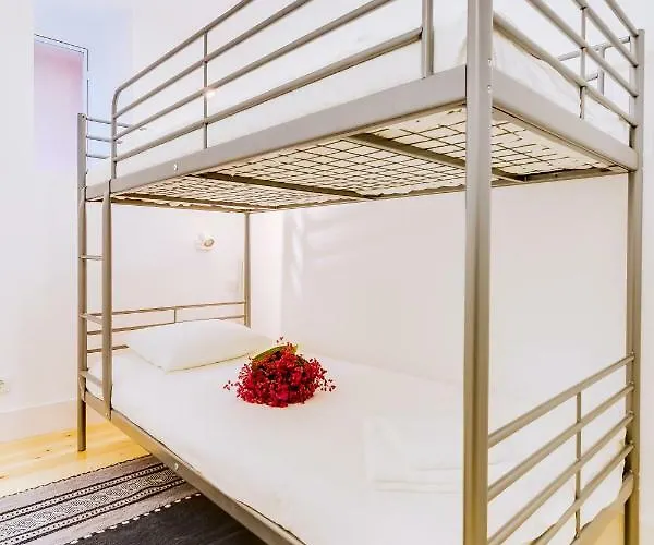Casa Dos Doutores, A Cozy In Apartment *