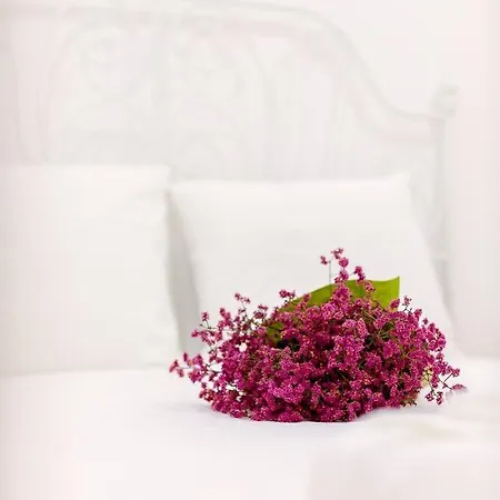 Casa Dos Doutores, A Cozy In *