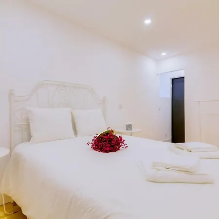 아파트 Casa Dos Doutores, A Cozy In 리스본